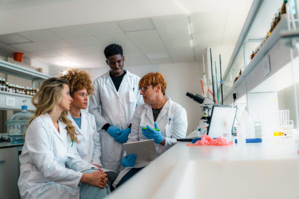 Research Team at Work
