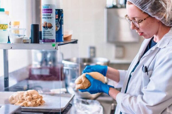 Preparing Study Meals